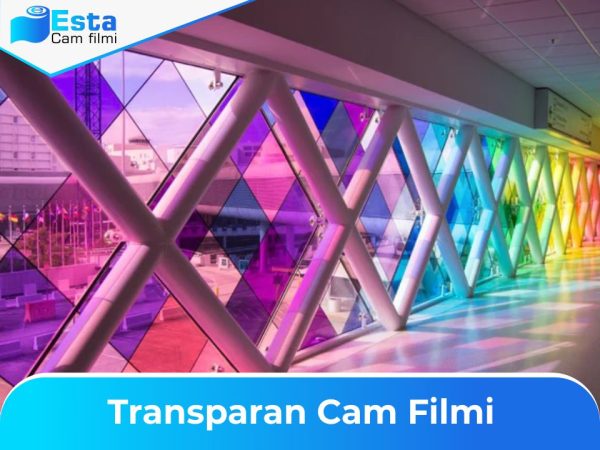 Esta transparan cam filmi